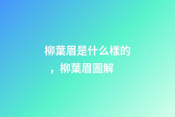 柳葉眉是什么樣的，柳葉眉圖解